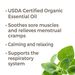 Plant Therapy Marjoram Sweet diffuser scene, releasing a calming aroma for evenings.