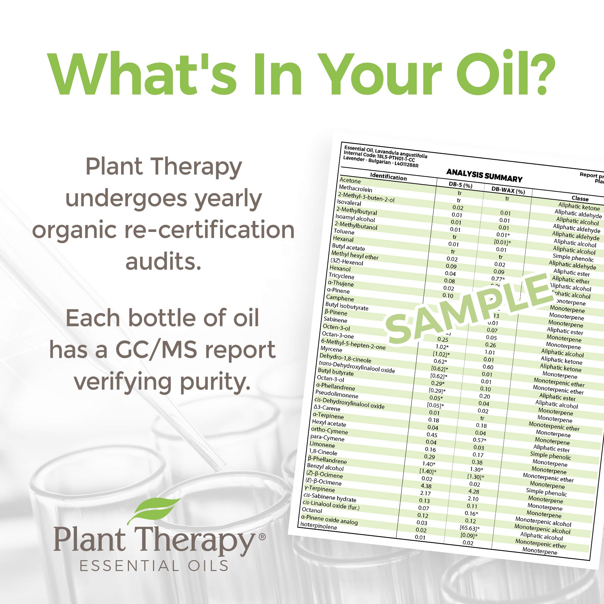 Plant Therapy Marjoram Sweet outer packaging, organic label visible.