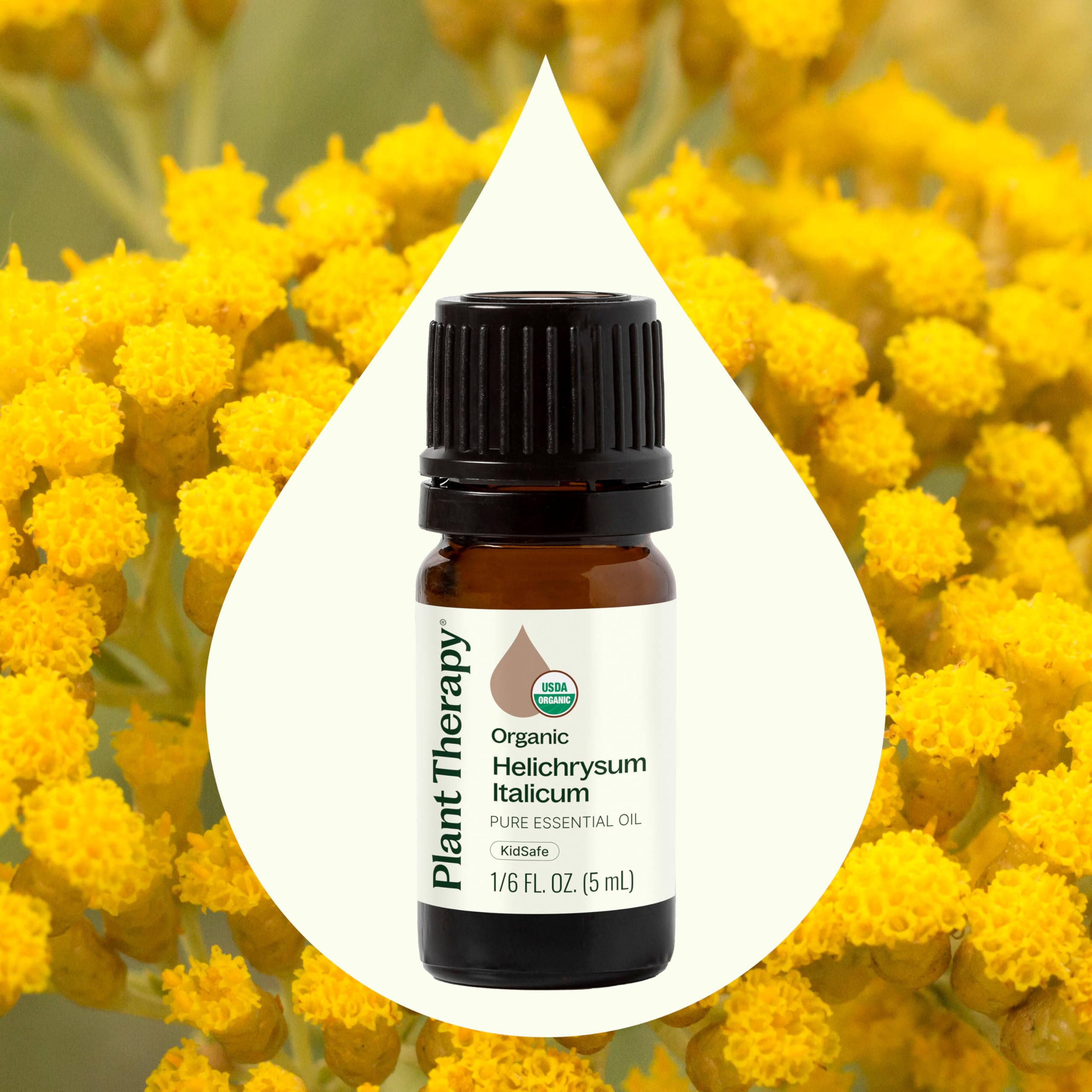 Plant Therapy certified organic label proving purity and standards.