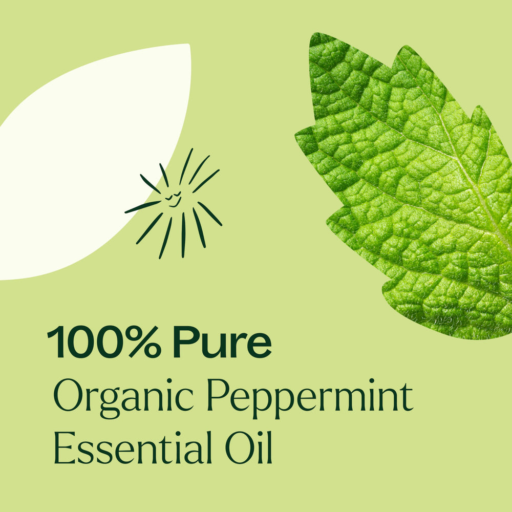 Plant Therapy organic certification logo indicating USDA Organic quality