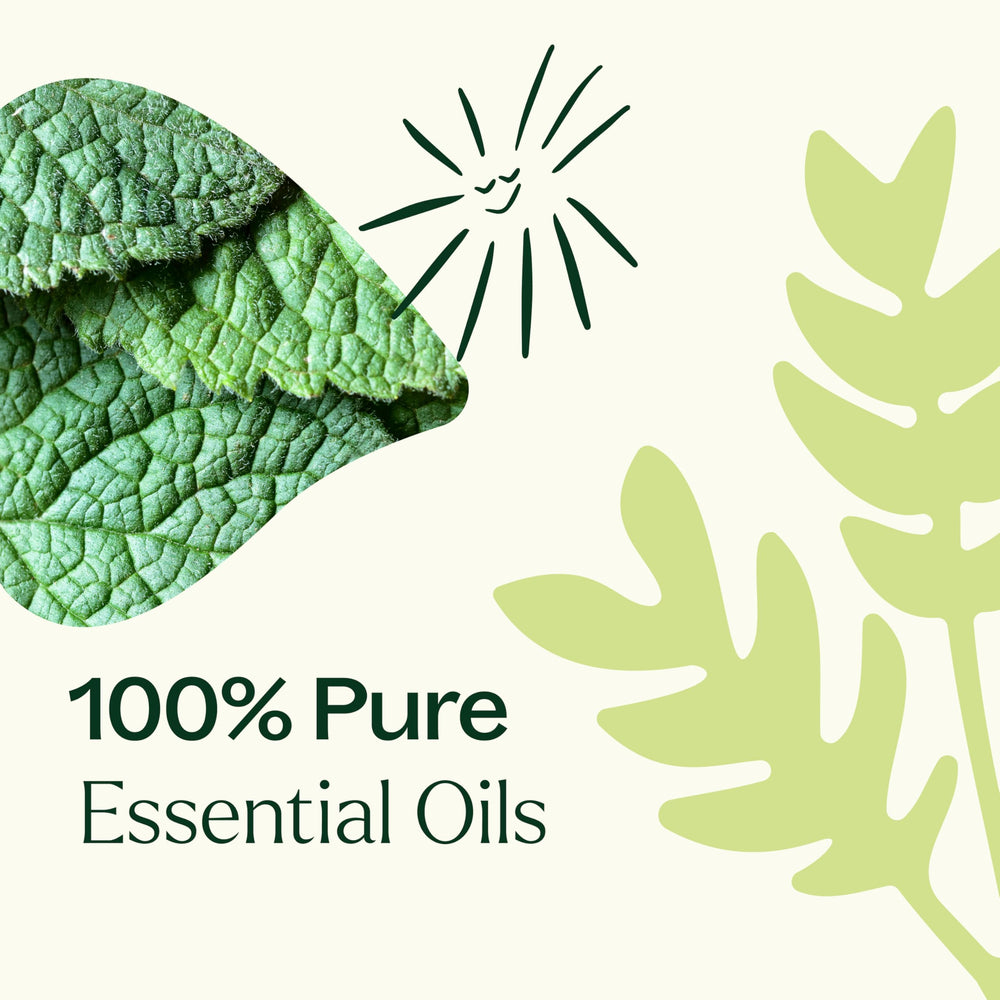 Plant Therapy Pain Support application on skin with roll-on in use.