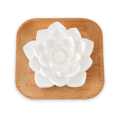 Plant Therapy passive lotus bloom diffuser on a wood base releasing a subtle aroma.