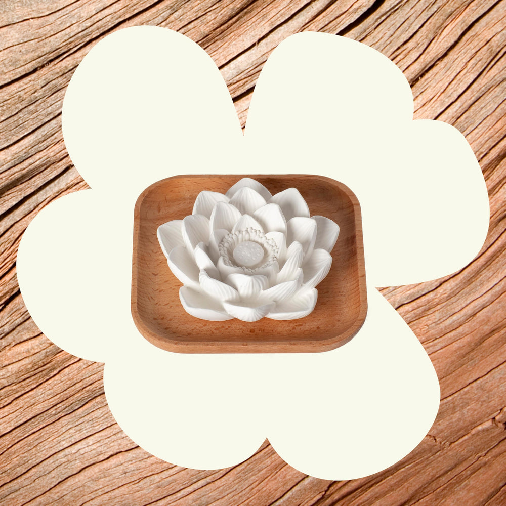 Plant Therapy lotus diffuser close-up shows unglazed petals absorbing oil for diffusion.