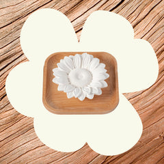 Plant Therapy Passive Sunflower Diffuser with plaster top for timeless style.