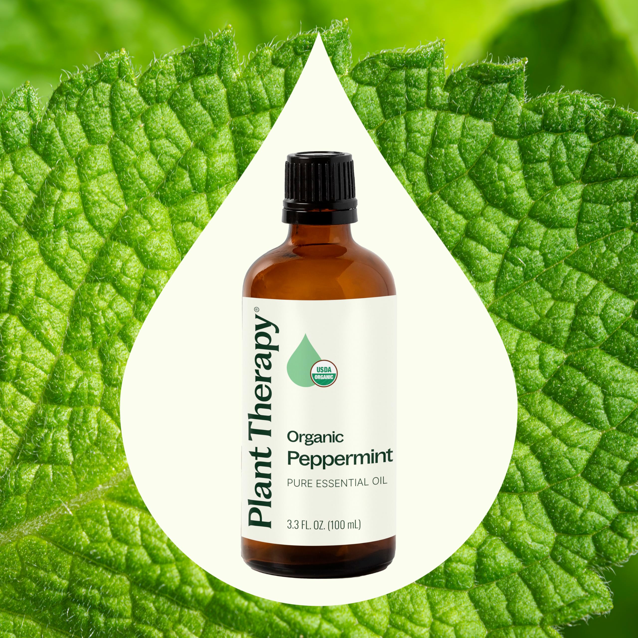 Plant Therapy peppermint oil dropper close-up showing purity and aroma