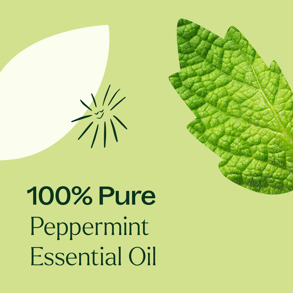 GC-MS report badge on Plant Therapy peppermint oil underlines thorough testing.