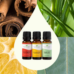 Plant Therapy Respir Aid bottle for breathable spaces and comfort