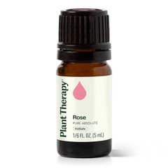 Plant Therapy Rose Absolute bottle for calming diffusion and aromatherapy rituals.