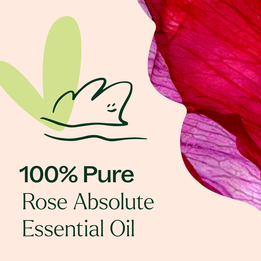 Plant Therapy Rose Absolute GC-MS report confirms testing and quality.