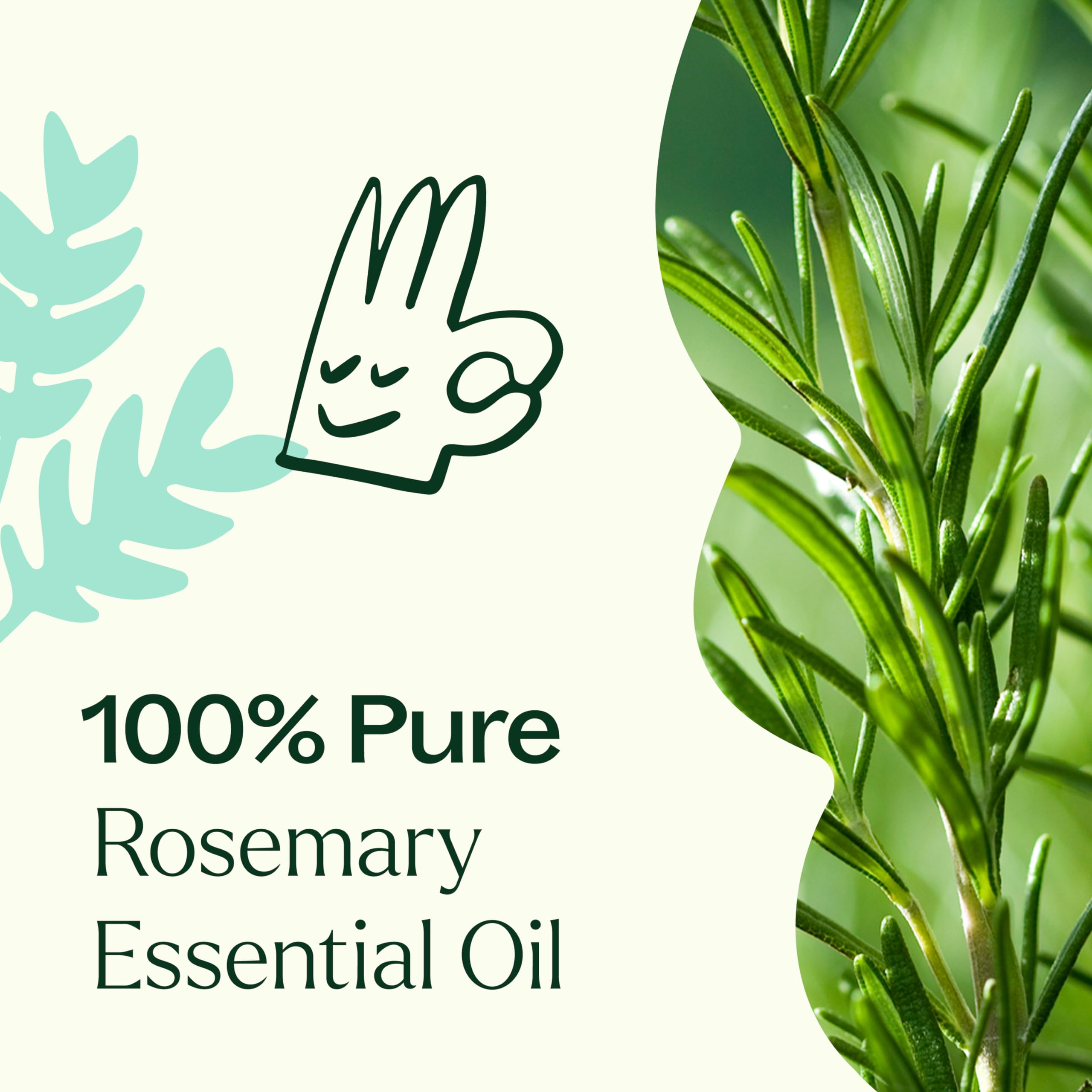 Packaging display showing Plant Therapy Rosemary Oil details and price.
