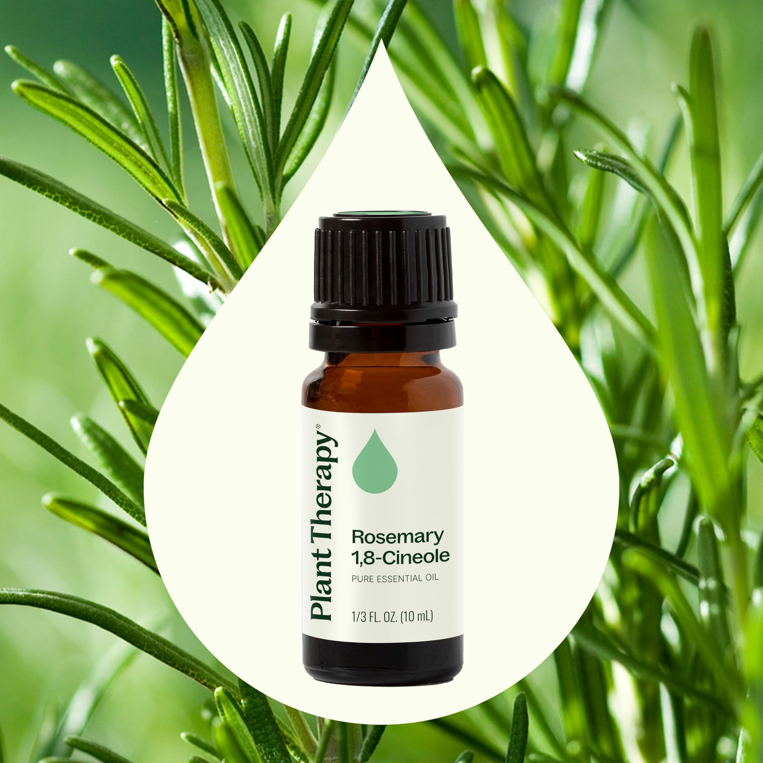Plant Therapy rosemary oil applied topically with a carrier oil.