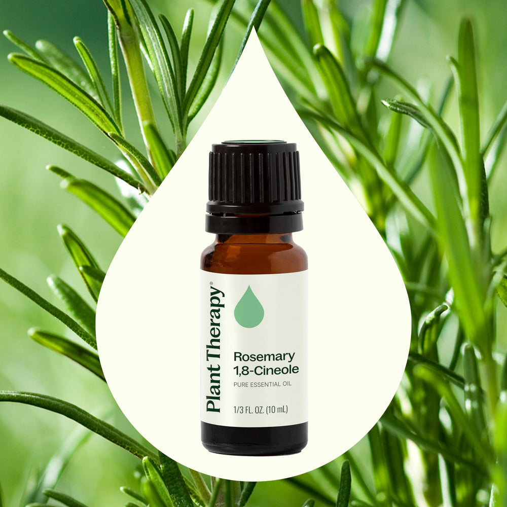 Plant Therapy rosemary oil applied topically with a carrier oil.