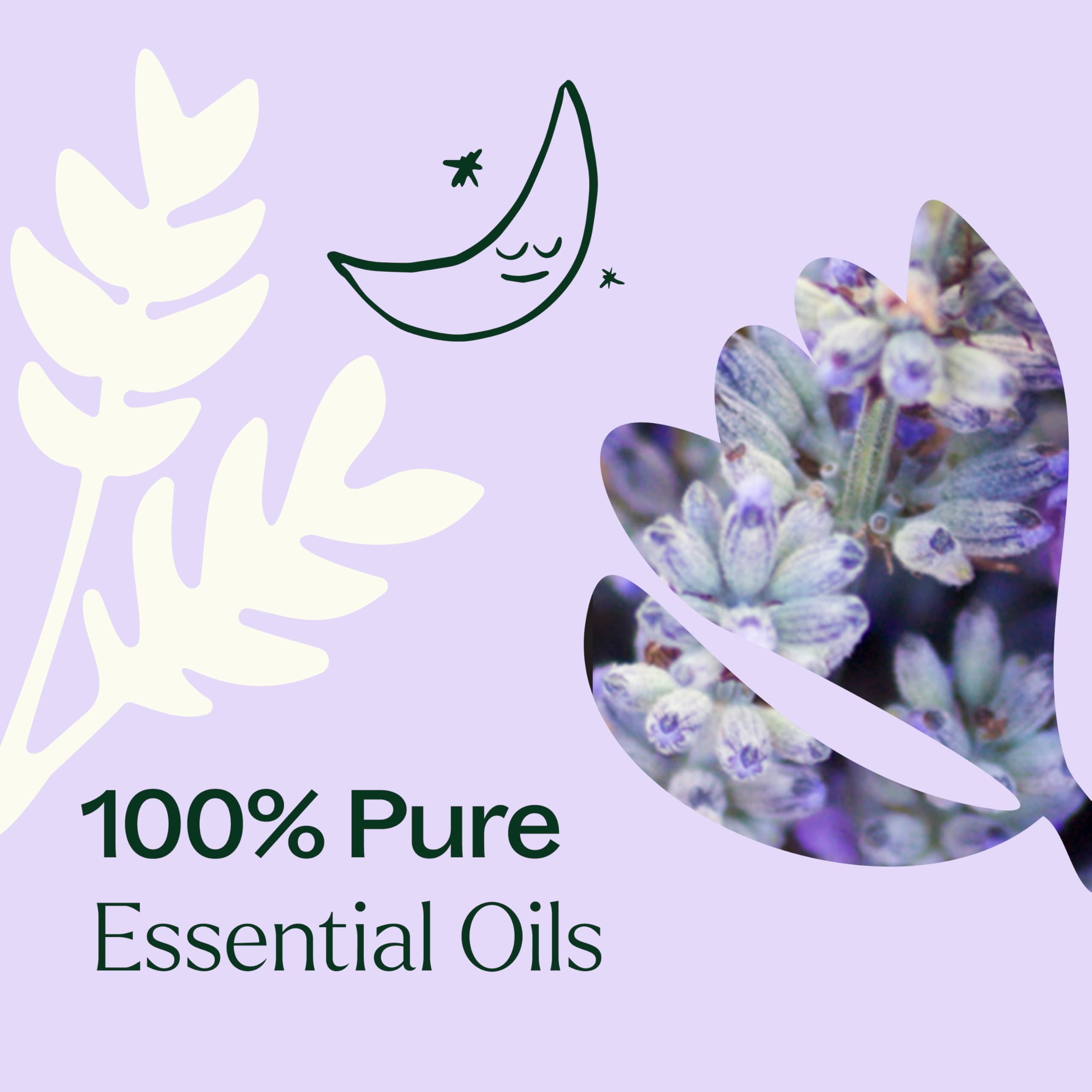 Plant Therapy Sparkling Lavender, vainilla para un aroma cálido y reconfortante.