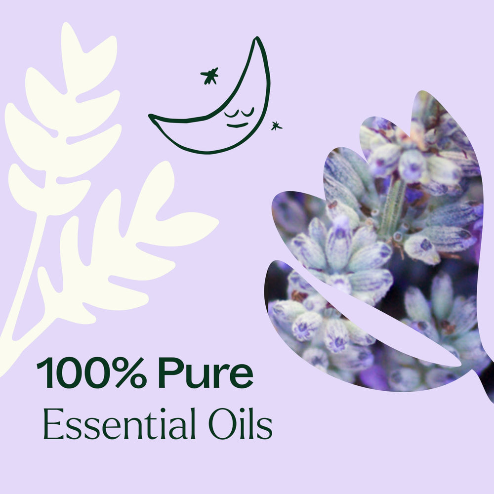 Plant Therapy Sparkling Lavender, vainilla para un aroma cálido y reconfortante.