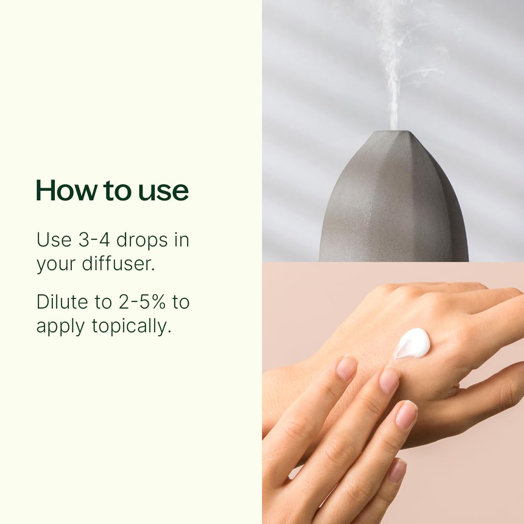 Plant Therapy Sweet Marjoram diffusing in a calming room aroma.