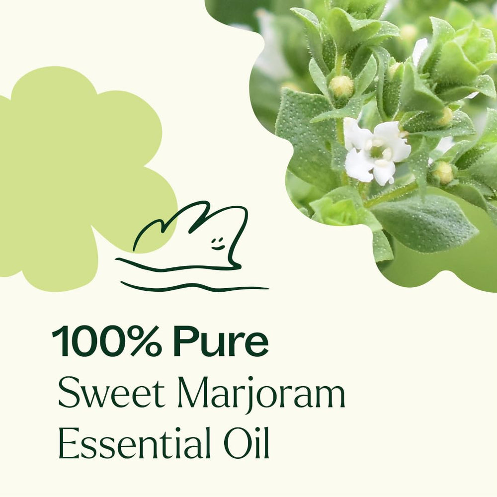 Plant Therapy Sweet Marjoram GC-MS documents indicating quality control.