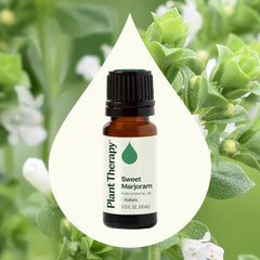 Plant Therapy Sweet Marjoram being massaged onto skin for relaxation.