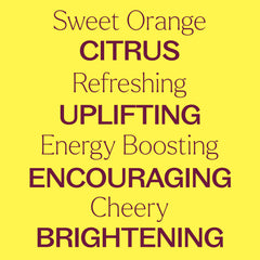 Plant Therapy Sweet Orange label detail with USDA Organic certification