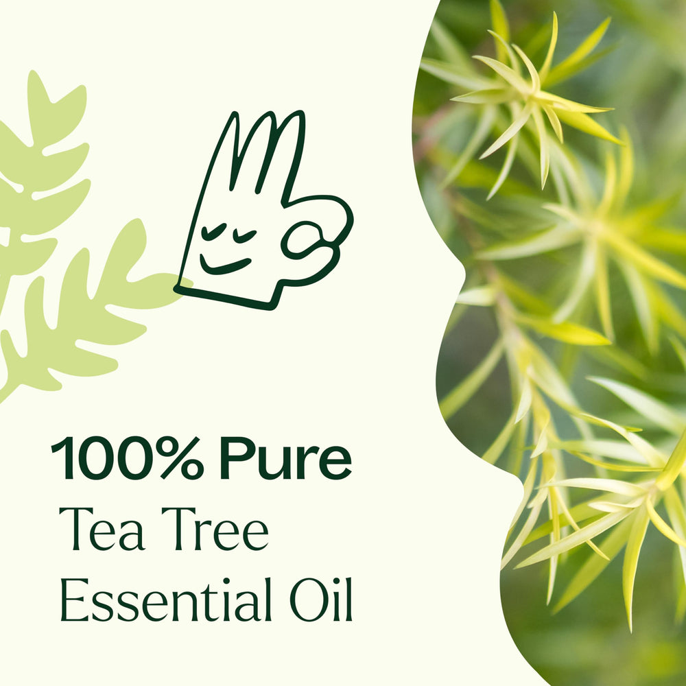 Plant Therapy Tea Tree cleaning spray mix for DIY tasks.