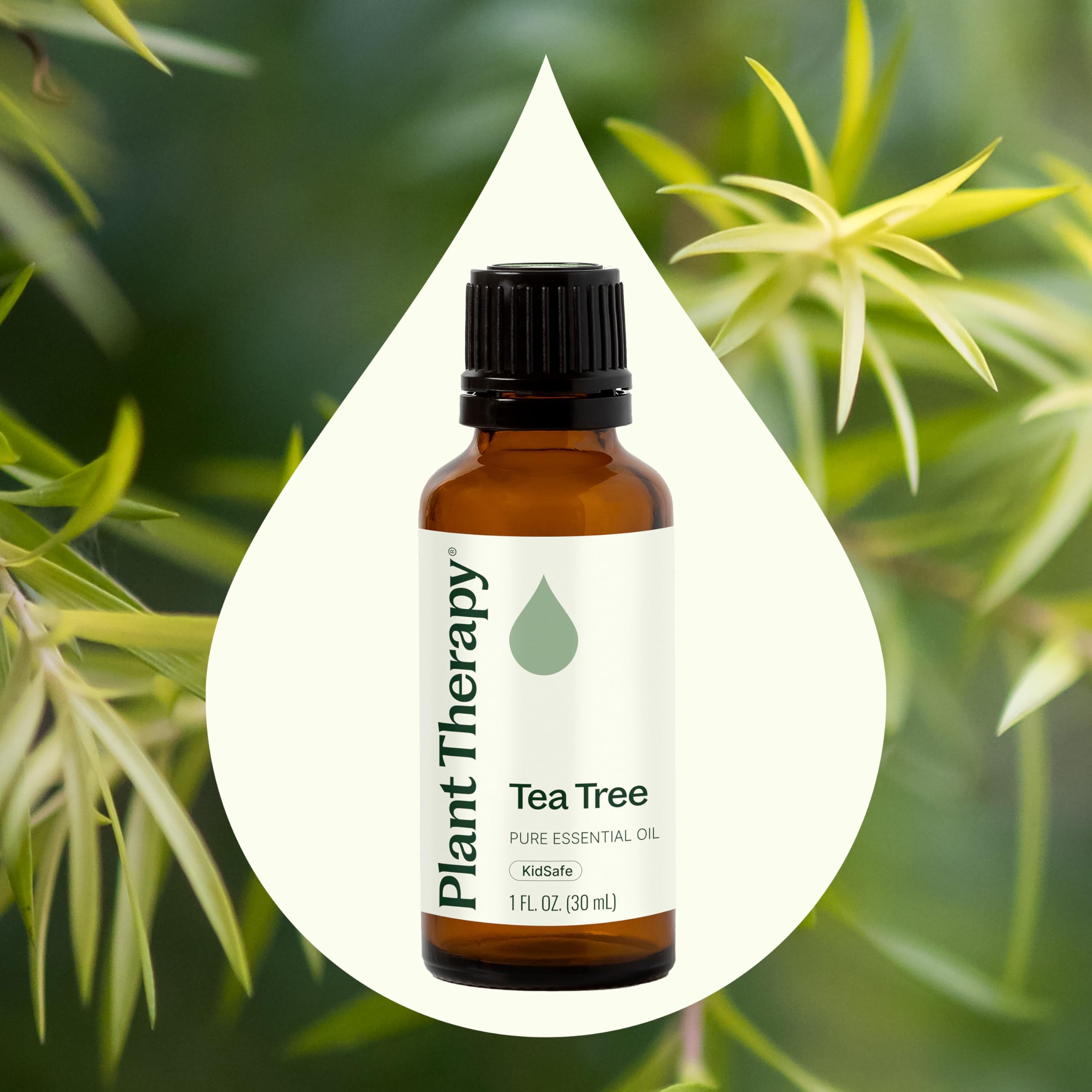 Plant Therapy Tea Tree diffuser scene with aromatic air refresh.