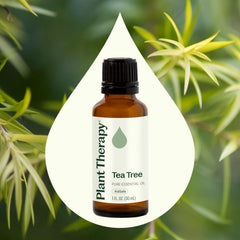 Plant Therapy Tea Tree diffuser scene with aromatic air refresh.