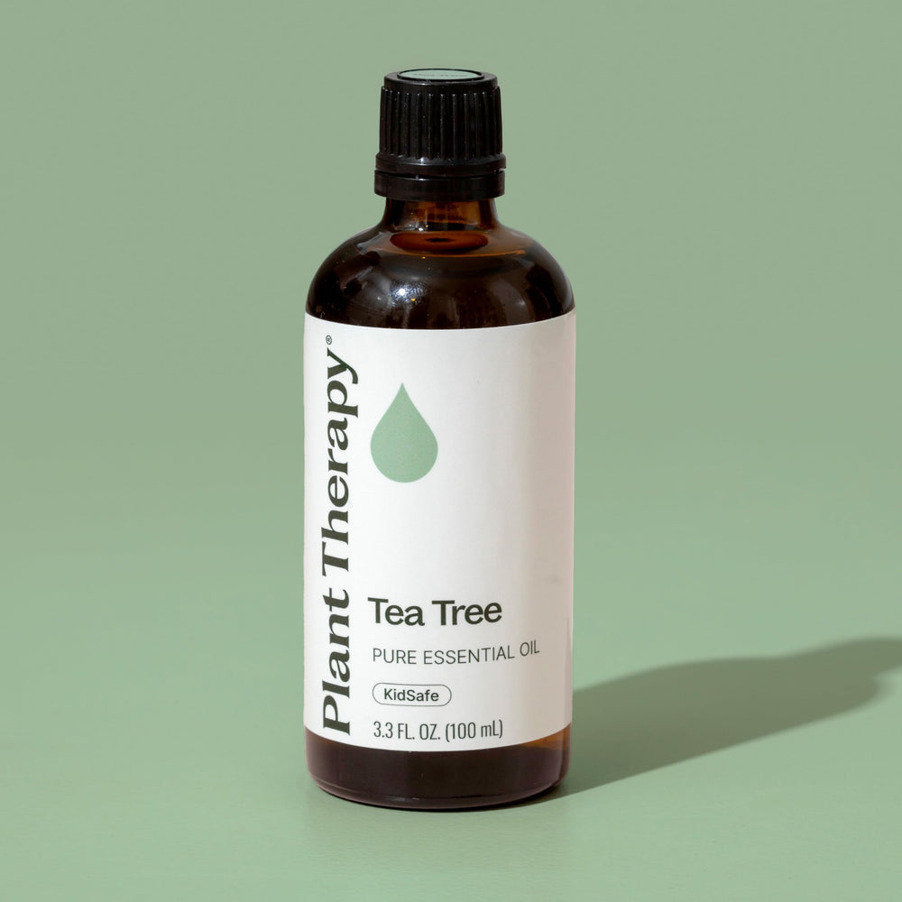 Plant Therapy Tea Tree oil in diffuser drops for easy aroma.