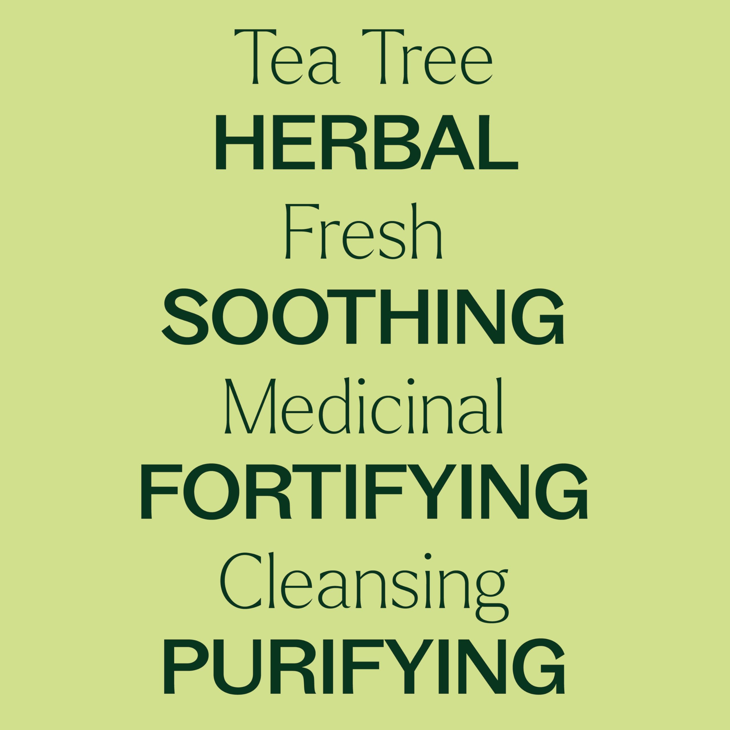 Plant Therapy Tea Tree bottle label highlights botanical name and origin.