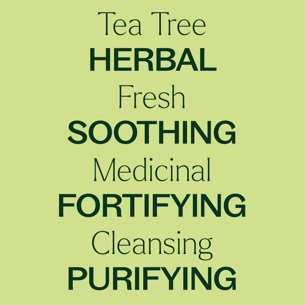 Plant Therapy Tea Tree bottle label highlights botanical name and origin.
