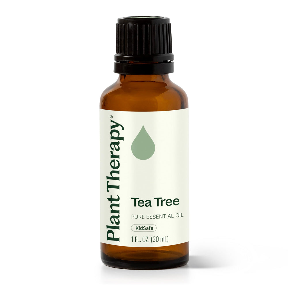 Plant Therapy Tea Tree Oil bottle in amber glass for versatile use.