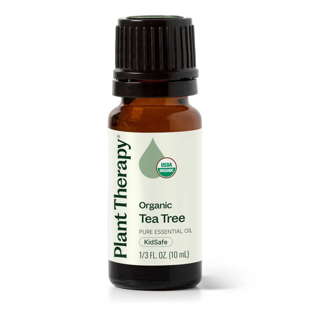 Plant Therapy Tea Tree Oil bottle for pure aromatherapy and topical care.