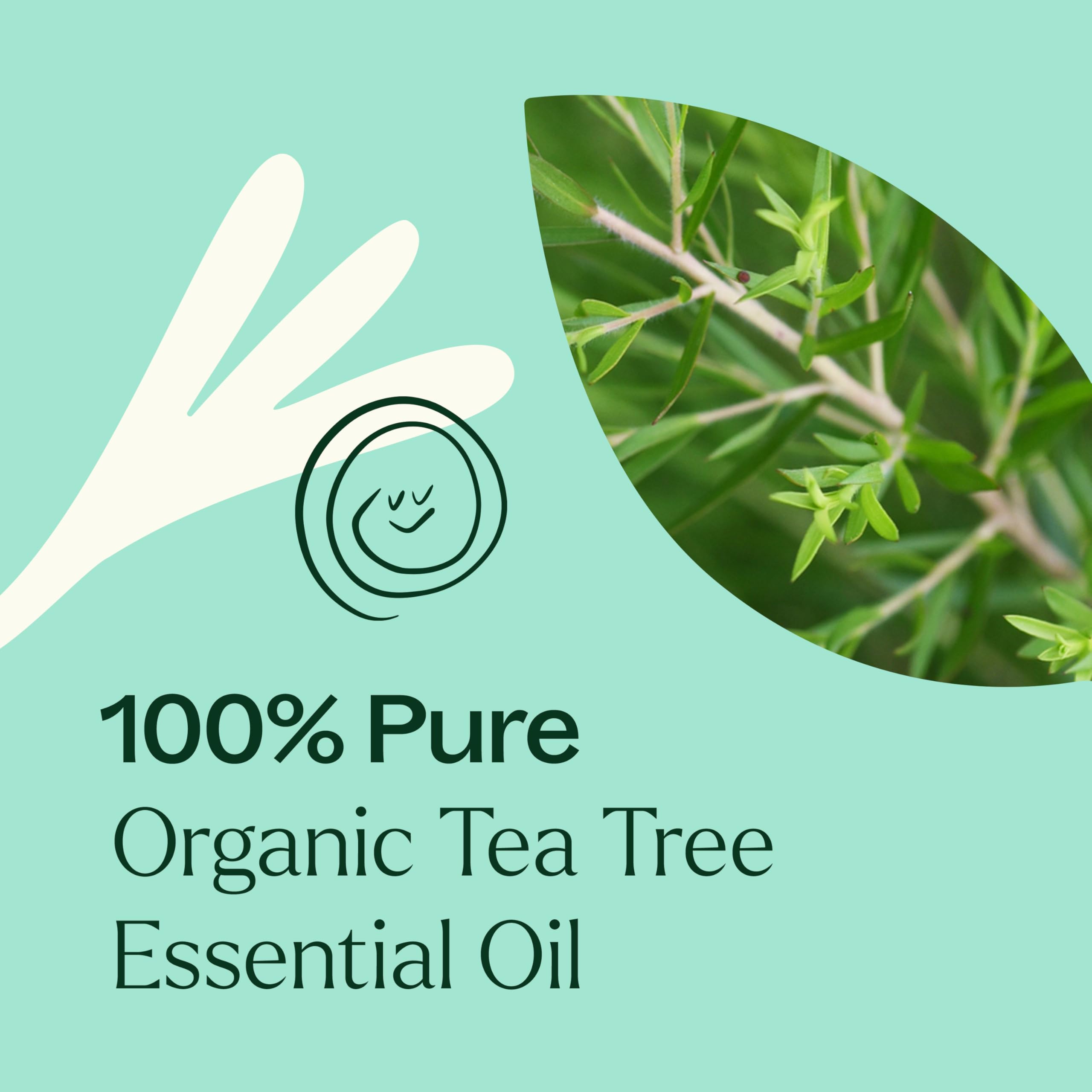 Plant Therapy Tea Tree Oil natural cleaning solution for deodorizing spaces.