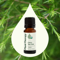Plant Therapy Tea Tree Oil skin-care application for soothing minor irritations.