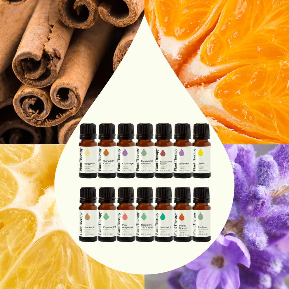 Plant Therapy Peppermint bottle for energizing diffusions and refreshing topical use.