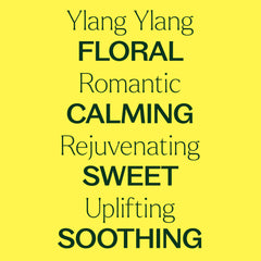 Plant Therapy Ylang Ylang Complete oil in lotion for tropical fragrance rituals.