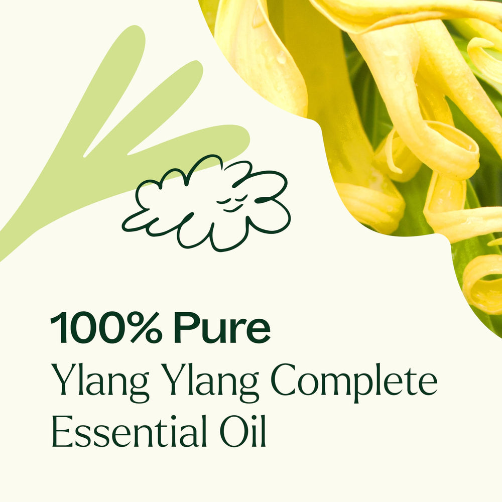 Plant Therapy Ylang Ylang Complete oil perfume note for elegant blends.