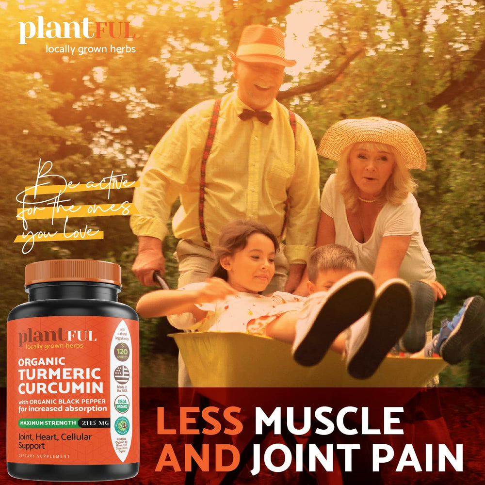 PLANTFUL RESEARCH Non-GMO organic turmeric for joint and immune support.