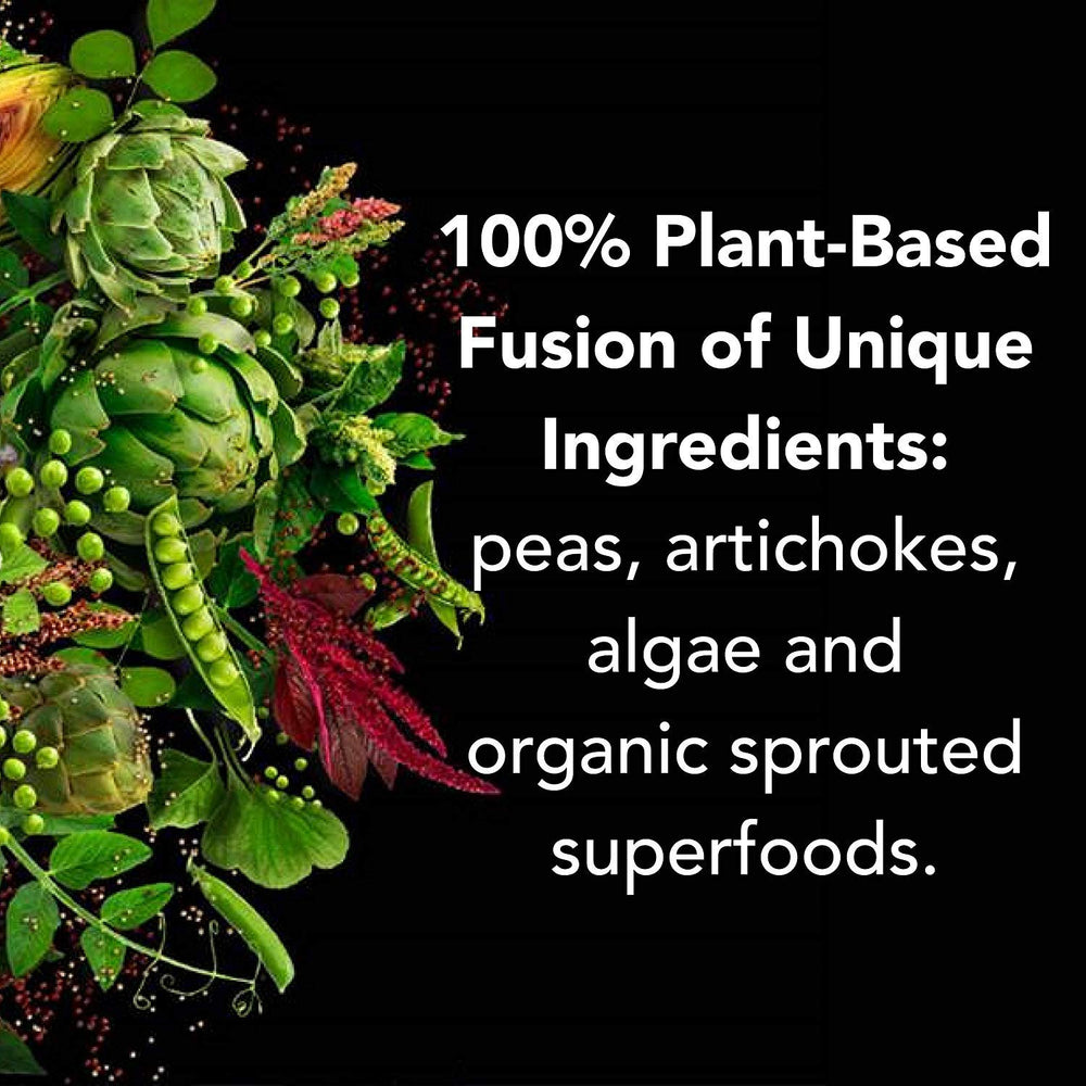 PlantFusion Complete Vegan Protein Powder label-ingredients; non-GMO and clean protein source.