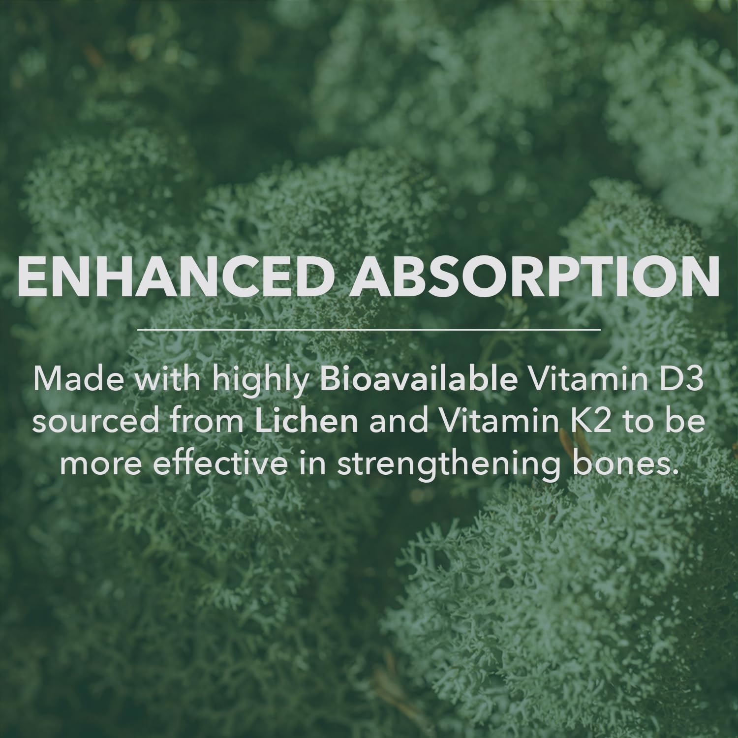 PlantFusion packaging back reveals certifications and allergen-free status.
