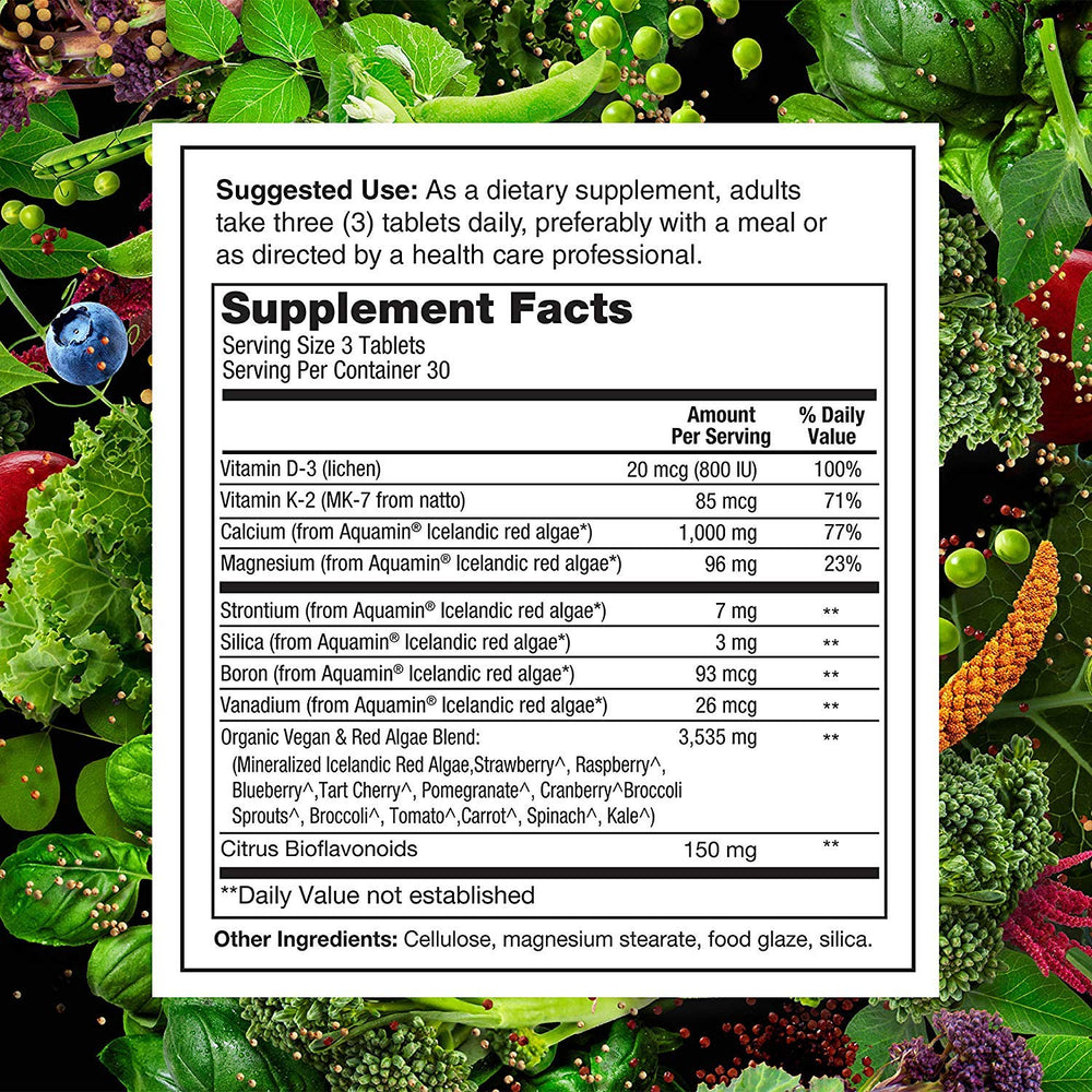 PlantFusion vegan-certified seal closeup indicating vegan-friendly, dairy-free formulation