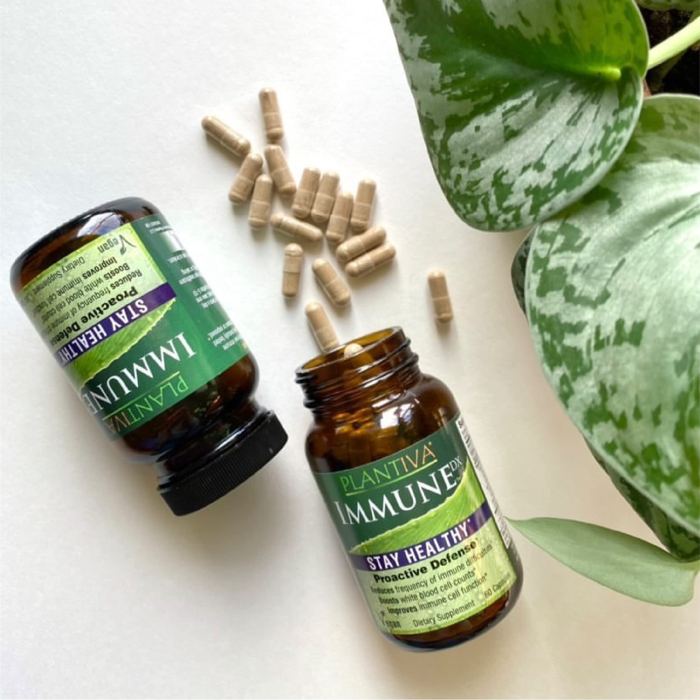 Daily-use scene with ImmuneDx as part of routine.