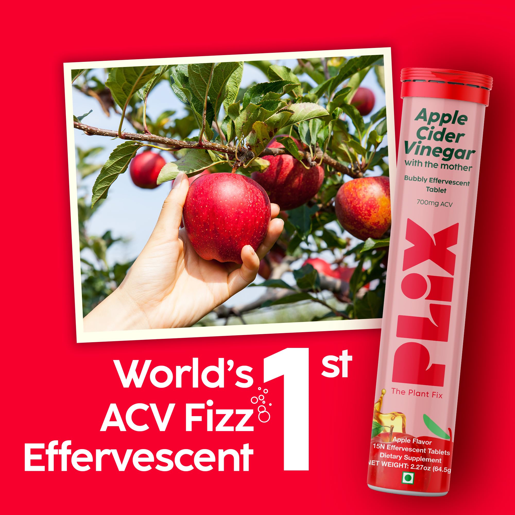 PLIX ACV tablets with The Mother and B12/B6 may boost energy
