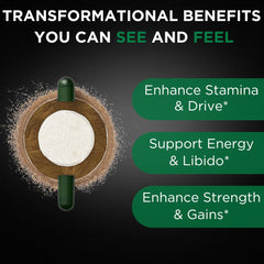 Plus+Ultra TestPlus bottle nutrition label provides ingredient details for transparency