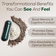 Plus+Ultra MAGPLUS+ phosphatidylserine panel for memory support.