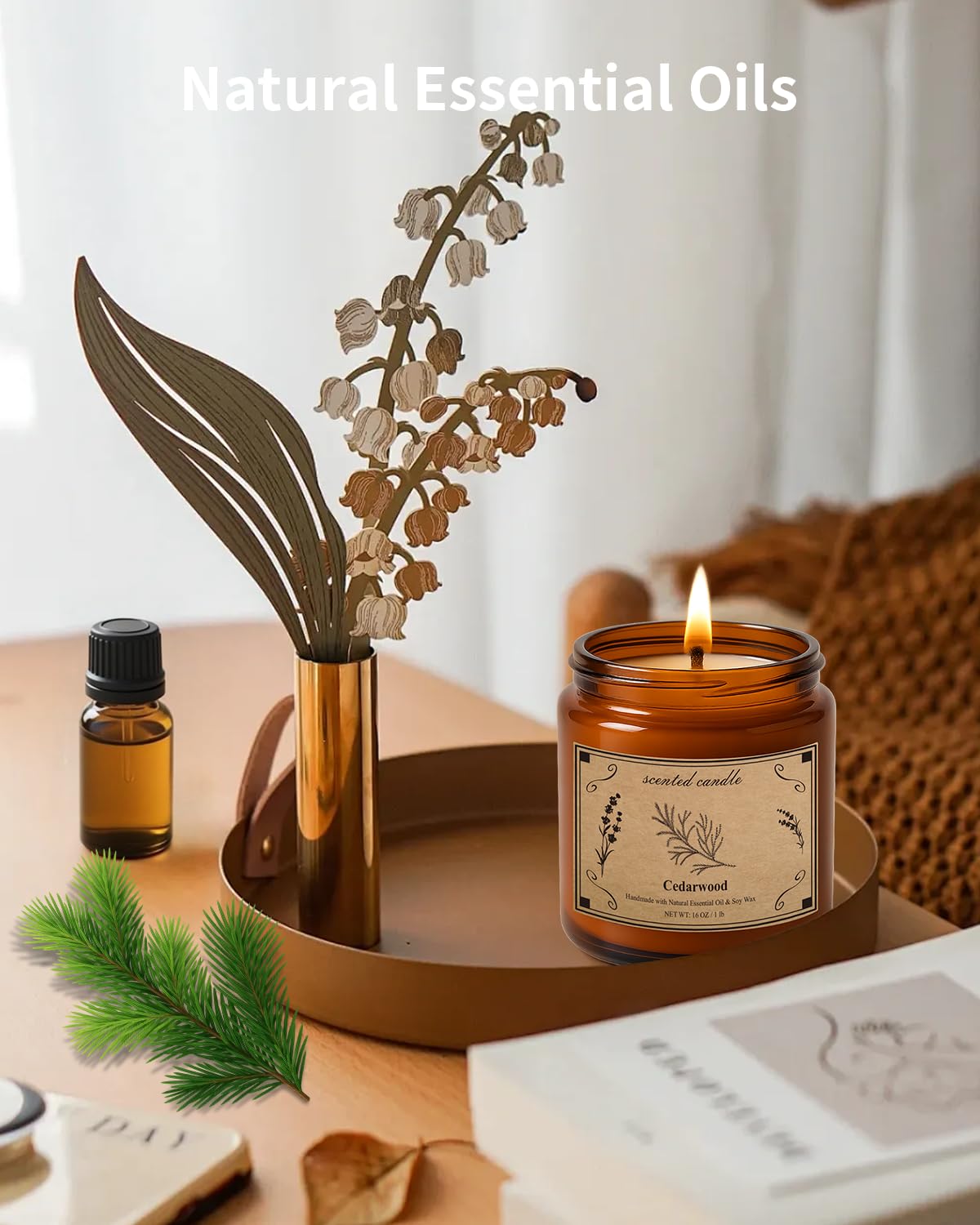 POOTES 16oz soy wax cedarwood candle with 100-hour burn