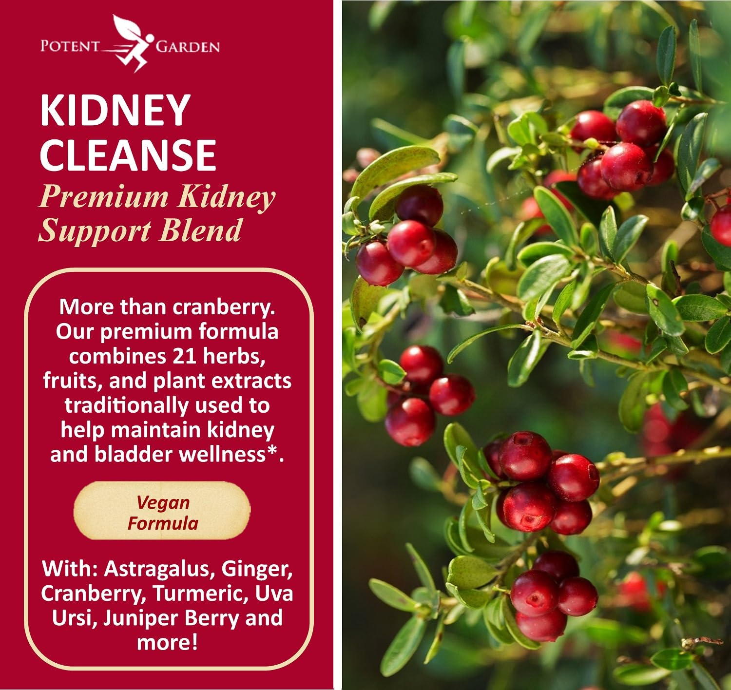 Potent Garden Kidney Cleanse capsules close-up highlighting vegan formula for urinary wellness.