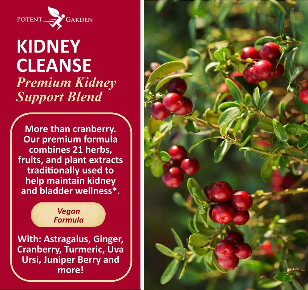 Potent Garden Kidney Cleanse capsules close-up highlighting vegan formula for urinary wellness.