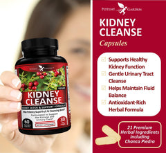 Potent Garden Kidney Cleanse bottle with herbs illustrating a balanced herbal blend.