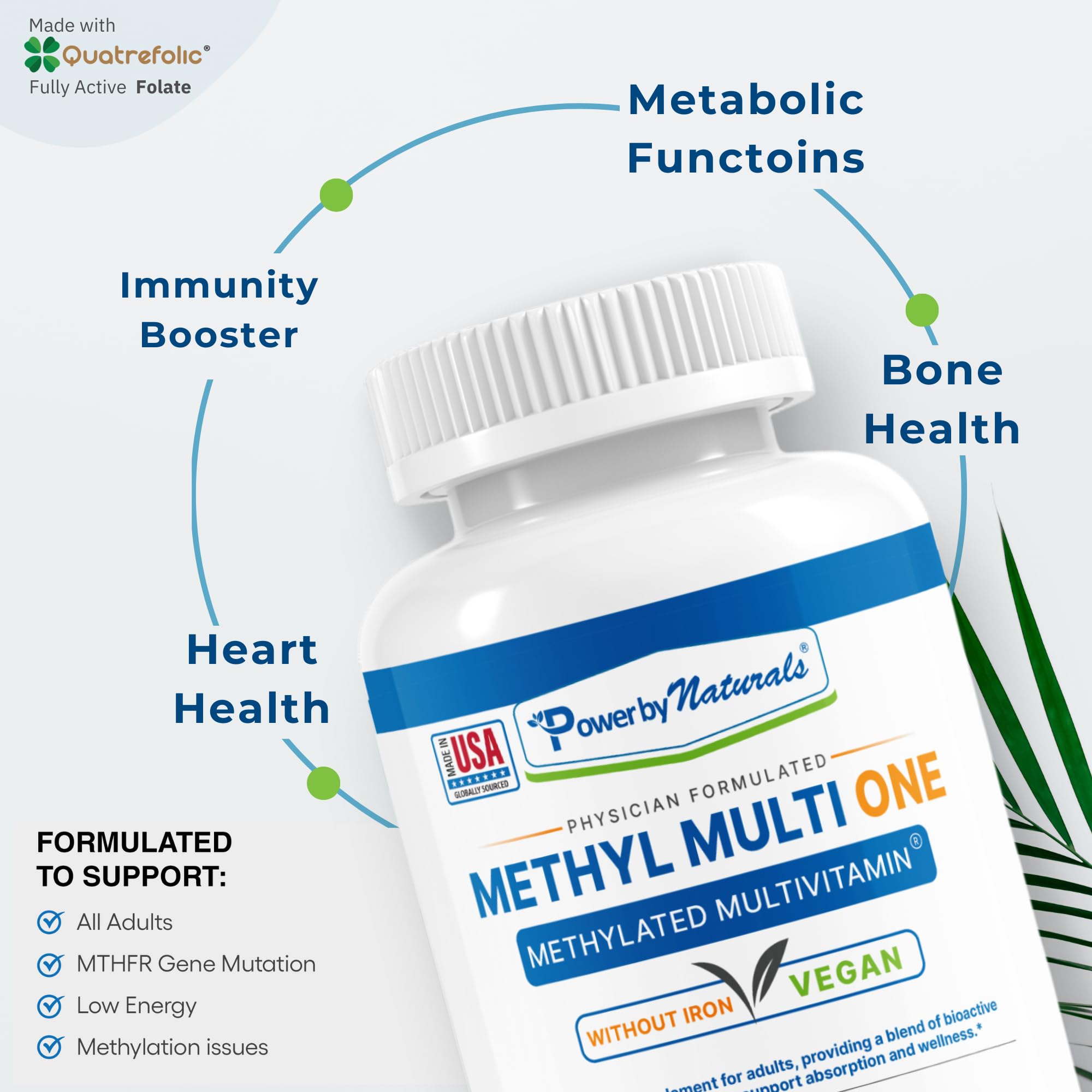 Power By Naturals Methyl Multi One ingredients chart features CoQ10, 5-MTHF, and essential minerals.