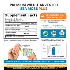 Power By Naturals SeaMoss Plus bottle back highlights ingredients and purity commitments