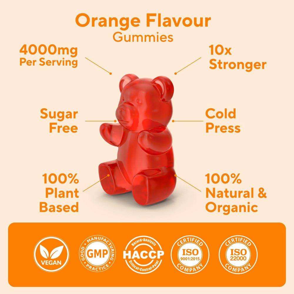 Power Grain gummies in hand, simple daily ritual for wellness